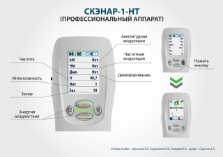 СКЭНАР-1-НТ (исполнение 01)  в Элисте купить Нейродэнс ПКМ официальный сайт - denasdevice.ru 